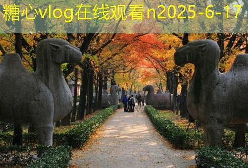 糖心vlog入口11月张家界旅游是否值得一去的全面分析