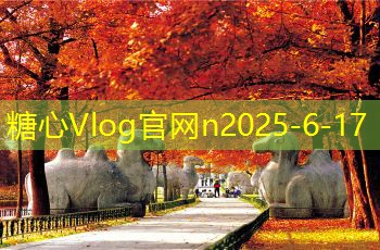 糖心vlog官方网站12月份出游最佳选择推荐让你不再犯愁