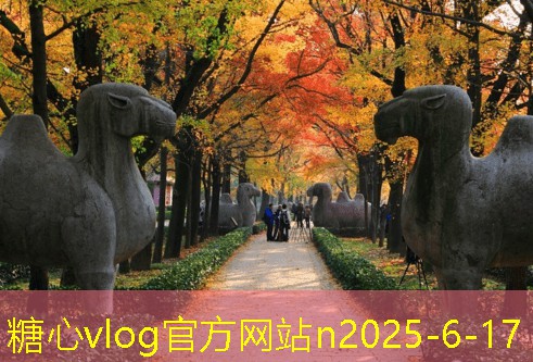糖心vlog入口12月份国内旅游推荐地，寻找冬季魅力之旅