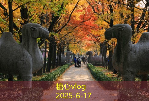 糖心vlog10月下旬旅游最佳目的地推荐探索秋季的美丽风景