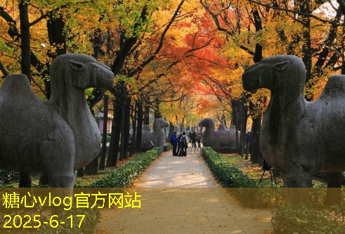 糖心vlog官方网站11月份旅游景点推荐值得一去的绝佳目的地