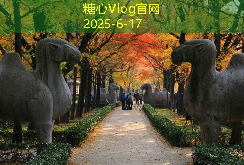糖心vlog入口10月下旬旅游最佳目的地推荐探索秋季的美丽风景
