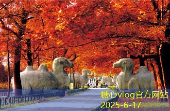 糖心tv10月乌鲁木齐旅游攻略享受秋季美景与文化魅力