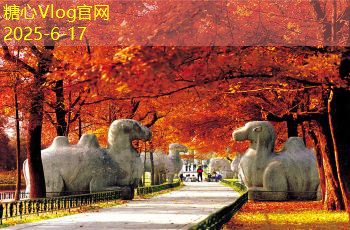 糖心vlog入口十月旅游最佳去处推荐让你陶醉的秋日之旅