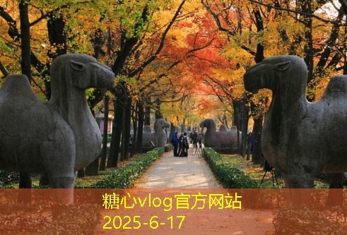 糖心vlog十月份旅游最佳去处推荐让你尽享秋季美景