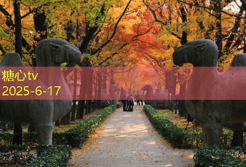 糖心vlog在线观看11月份去云南旅游是否合适的全面分析与建议