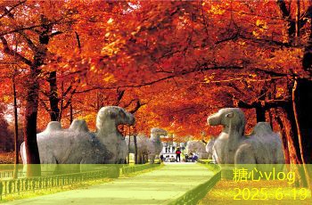 糖心Vlog官网10月份去新疆旅游感受大自然的壮丽与人文魅力
