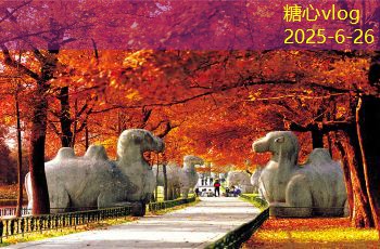 糖心vlog入口北京旅游攻略必去景点七天行程推荐