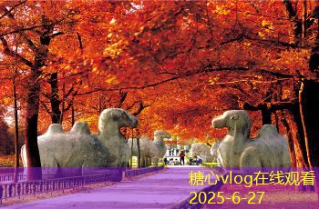 糖心vlog入口北海五天四晚旅行完美攻略畅游海滨乐趣