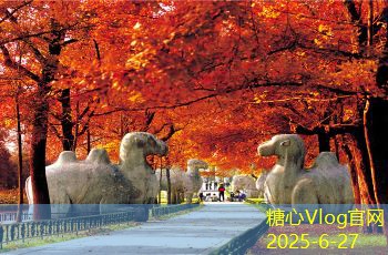 糖心tv北海涠洲岛自由行旅游攻略尽享美丽海景