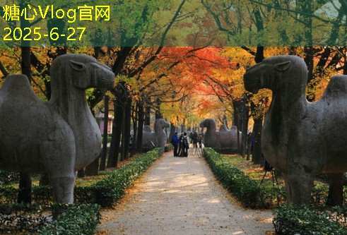 糖心vlog在线观看十一小众旅游景点打造独特旅行体验